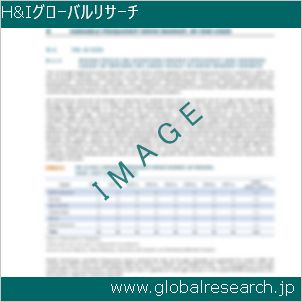 グローバルリサーチ調査レポートのイメージ